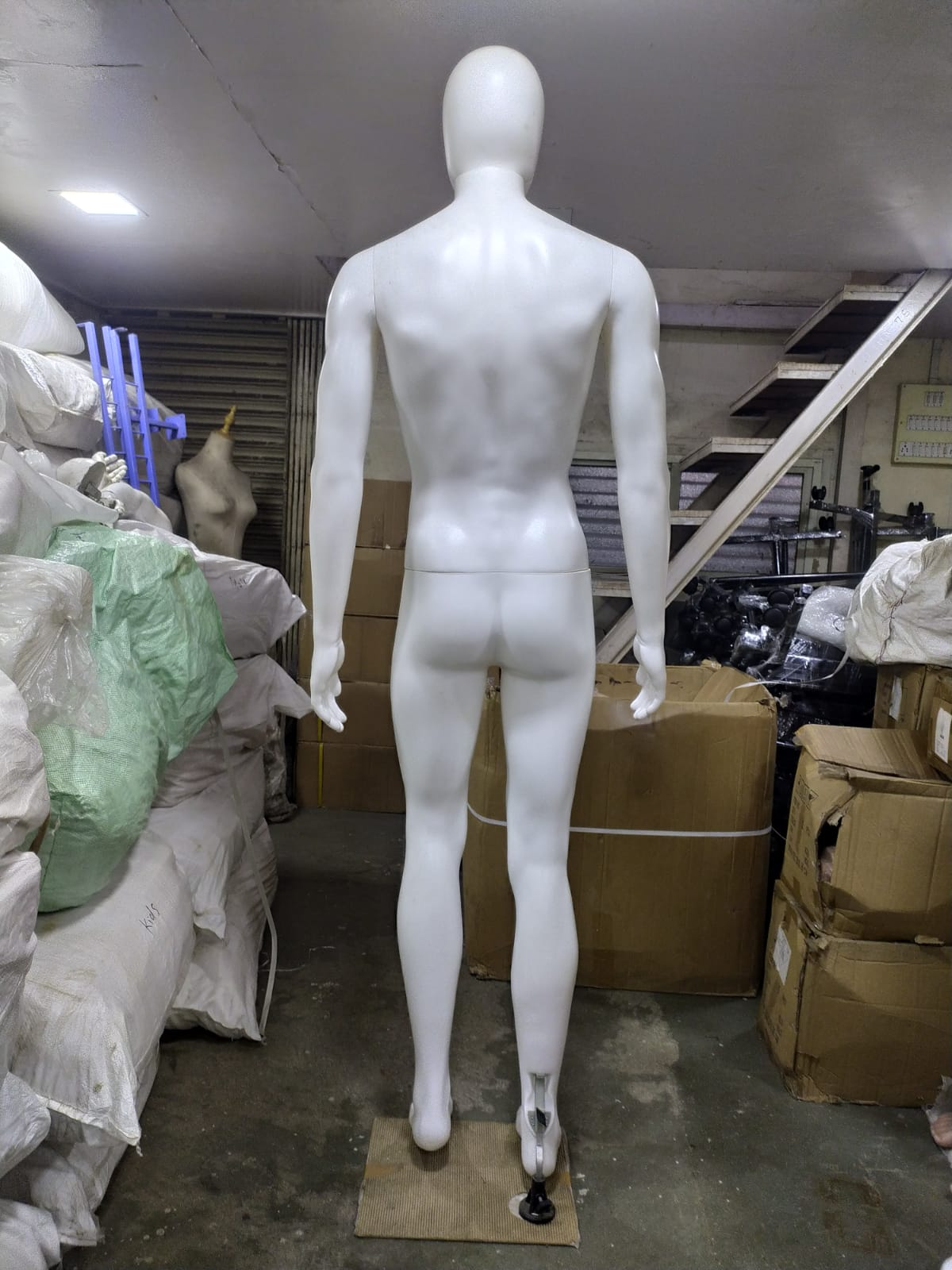 Male Full Body Mannequin (Rear View)